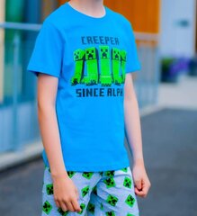 Minecraft shortsit ja t-paita setti hinta ja tiedot | Poikien kylpytakit ja pyjamat | hobbyhall.fi