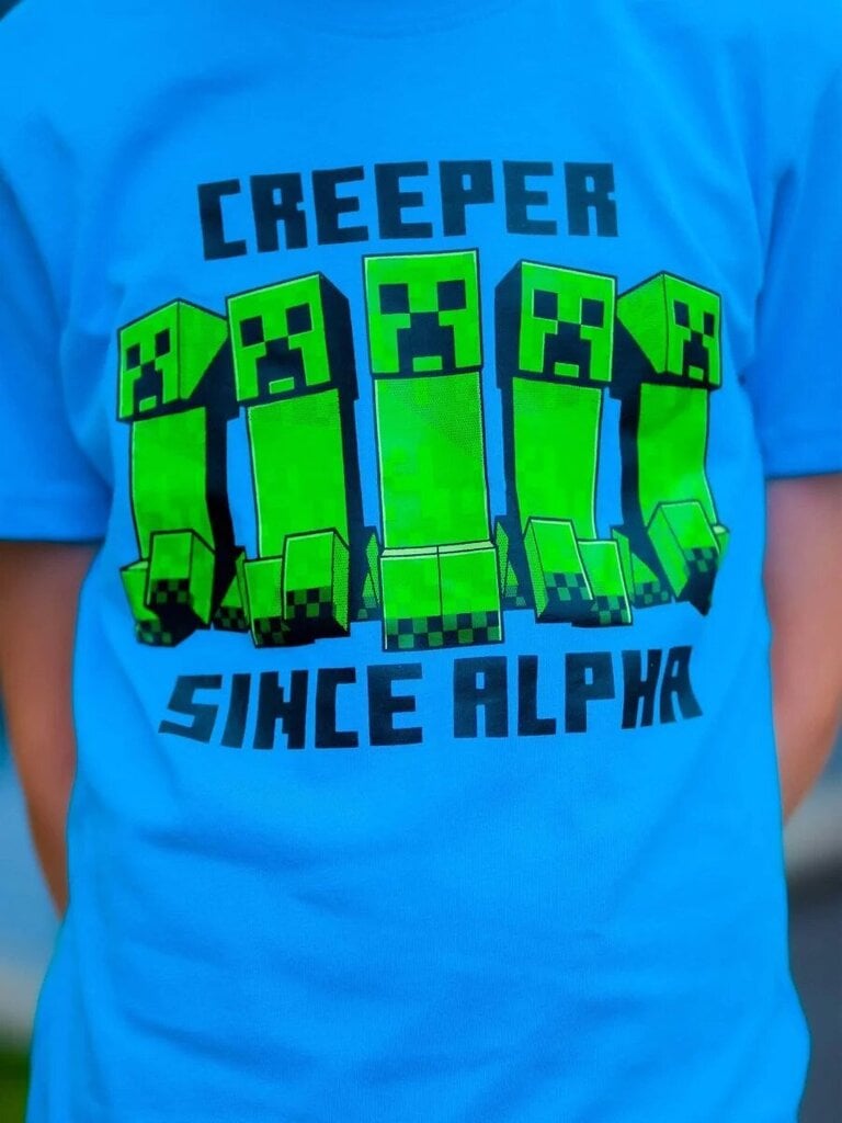 Minecraft shortsit ja t-paita setti hinta ja tiedot | Poikien kylpytakit ja pyjamat | hobbyhall.fi