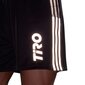 Miesten urheilushortsit Adidas Tiro Short Heijastava teksti M GQ1038 hinta ja tiedot | Miesten urheiluvaatteet | hobbyhall.fi