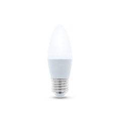 LED bulb E27 C37 6W 3000K 480lm Forever Light hinta ja tiedot | Lamput | hobbyhall.fi