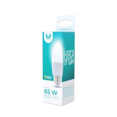 LED bulb E27 C37 10W 230V 3000K 900lm ceramic Forever Light hinta ja tiedot | Forever light Kodin remontointi | hobbyhall.fi