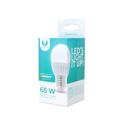 LED bulb E27 G45 10W 230V 3000K 900lm ceramic Forever Light hinta ja tiedot | Lamput | hobbyhall.fi