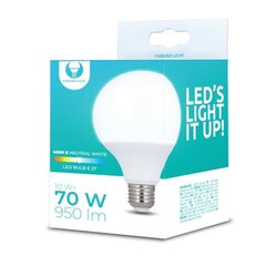 LED Bulb E27 G95 10W 230V 4500K 950lm Forever Light hinta ja tiedot | Forever light Kodin remontointi | hobbyhall.fi