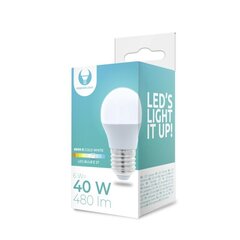 LED Bulb E27 G45 6W 230V 6000K 480lm Forever Light hinta ja tiedot | Lamput | hobbyhall.fi