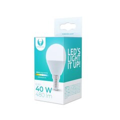 LED bulb E14 G45 6W 6000K 480lm Forever Light hinta ja tiedot | Forever light Kodin remontointi | hobbyhall.fi