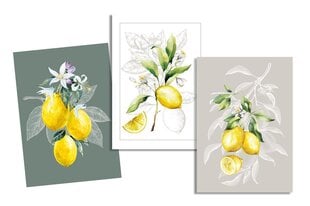 Kangas pyyhesetti Lemon, 3 kpl. hinta ja tiedot | Pyyhkeet | hobbyhall.fi