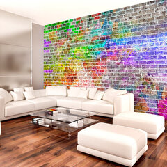 Valokuvatapetti - Rainbow Wall 150x105 cm hinta ja tiedot | Valokuvatapetit | hobbyhall.fi