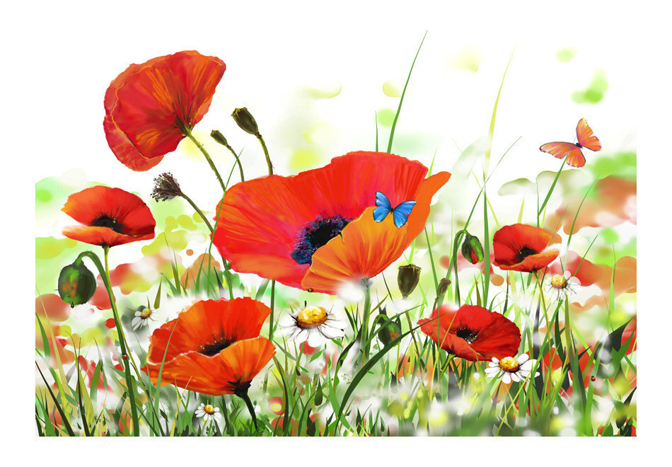 Valokuvatapetti - Country poppies 400x270 cm hinta ja tiedot | Valokuvatapetit | hobbyhall.fi