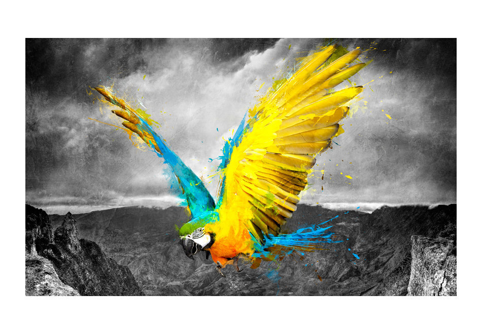 Valokuvatapetti - Exotic parrot 250x193 cm hinta ja tiedot | Valokuvatapetit | hobbyhall.fi