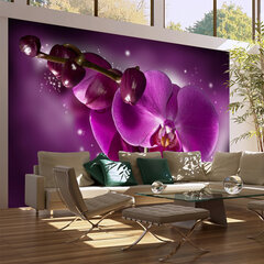 Valokuvatapetti - Fairy tale and orchid 450x270 cm hinta ja tiedot | Valokuvatapetit | hobbyhall.fi