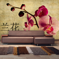Valokuvatapetti - Japanese orchid 450x270 cm hinta ja tiedot | Valokuvatapetit | hobbyhall.fi