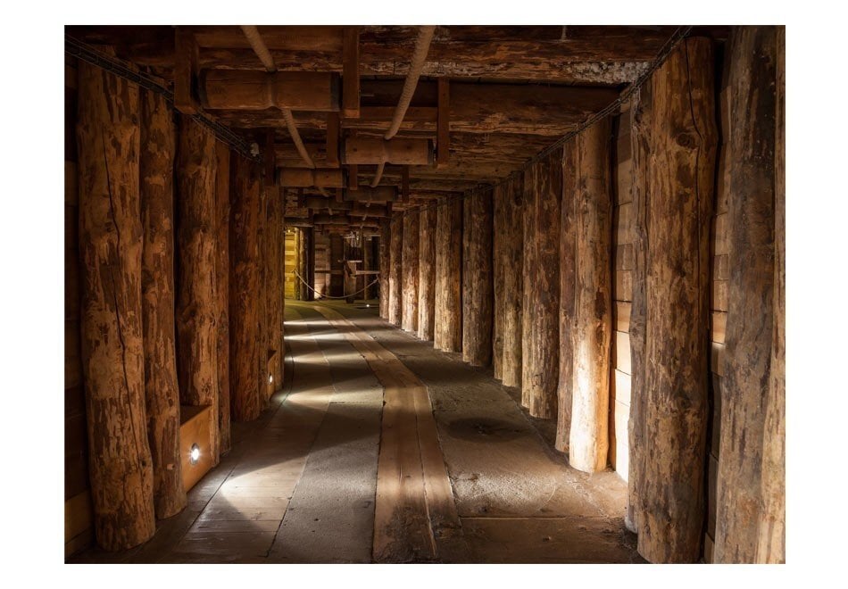 Valokuvatapetti - Wooden passage 400x309 cm hinta ja tiedot | Valokuvatapetit | hobbyhall.fi