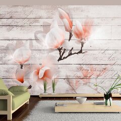 Valokuvatapetti - Subtlety of the Magnolia 250x175 cm hinta ja tiedot | Valokuvatapetit | hobbyhall.fi