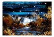 Valokuvatapetti - Magical forest 250x175 cm hinta ja tiedot | Valokuvatapetit | hobbyhall.fi