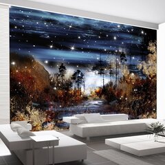 Valokuvatapetti - Magical forest 400x280 cm hinta ja tiedot | Valokuvatapetit | hobbyhall.fi