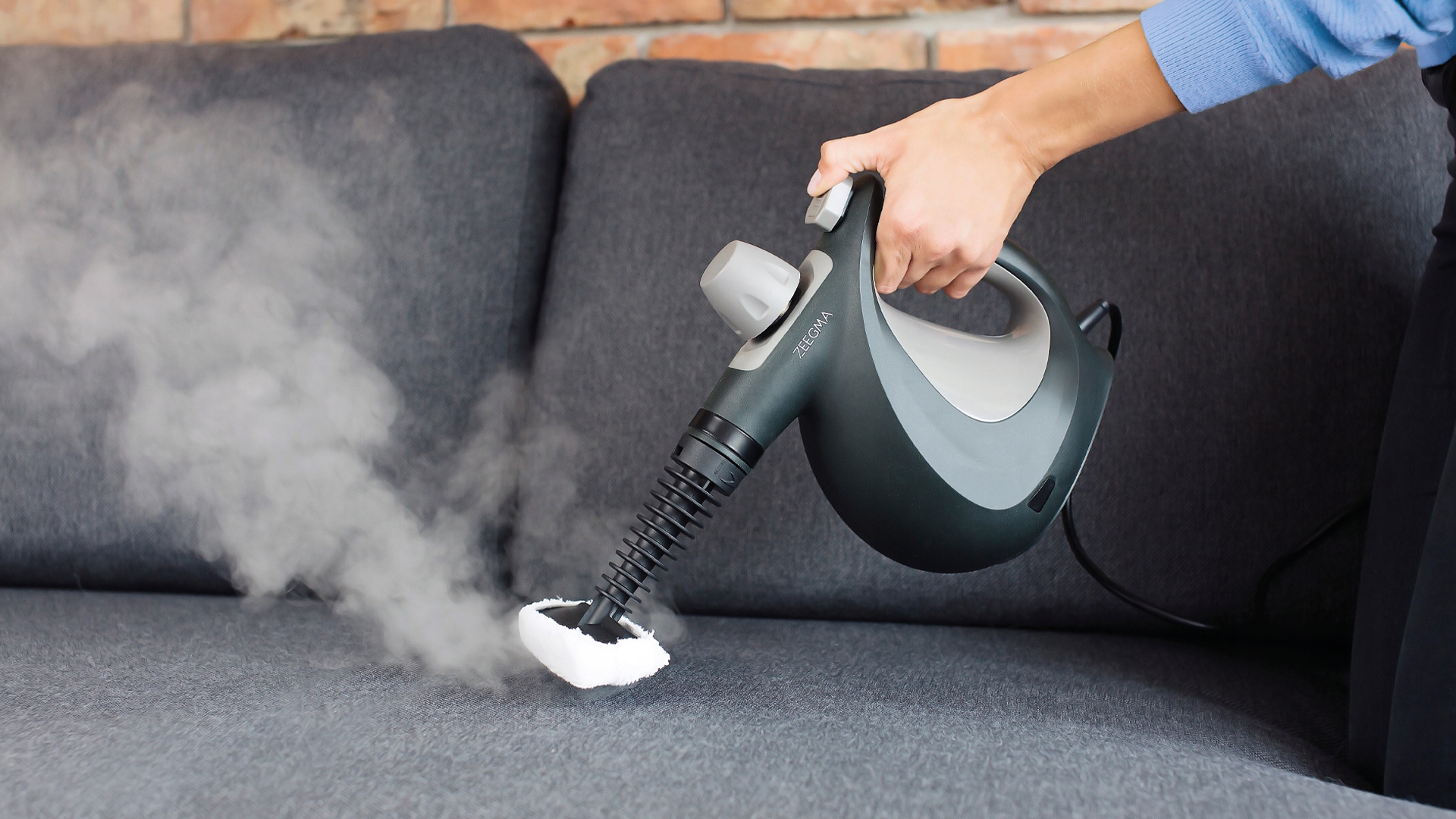 ZEEGMA Draden Bed Bug Steamer Höyrypuhdistin Zeegma merkki