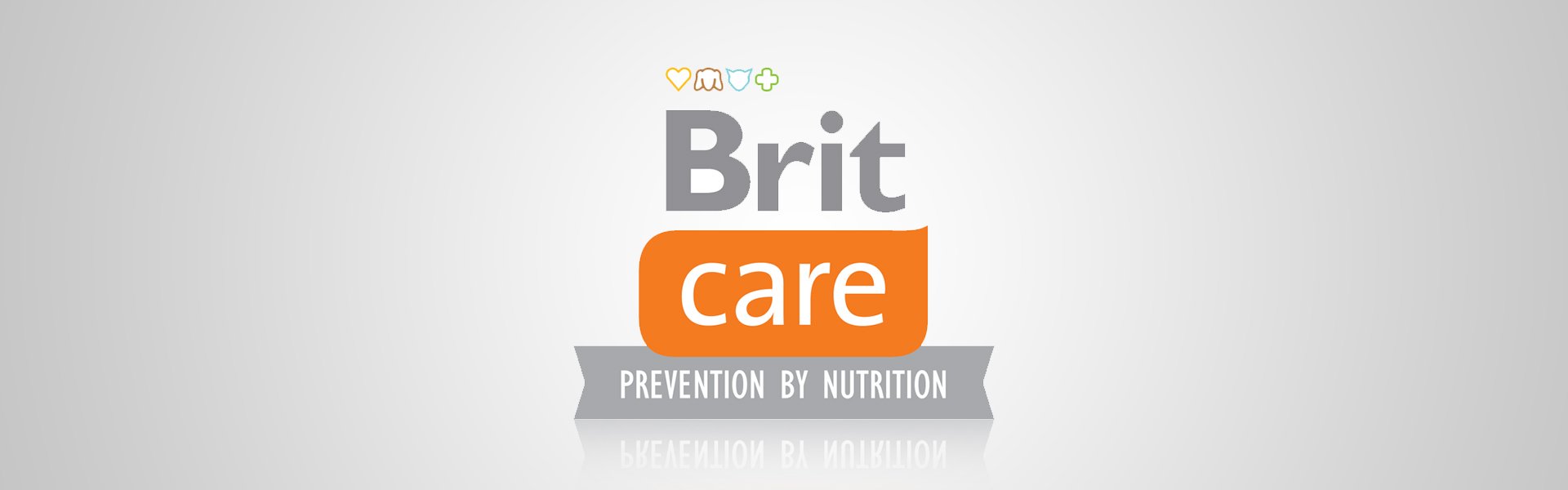 Brit Care koiran kuivaruoka suurirotuisille pennuille, lohta ja perunaa, ilman viljaa 1 kg 