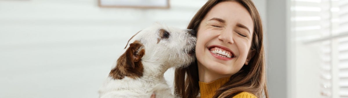 Onnellinen ja hyvinvoiva lemmikki - mitä koirasi tarvitsee?