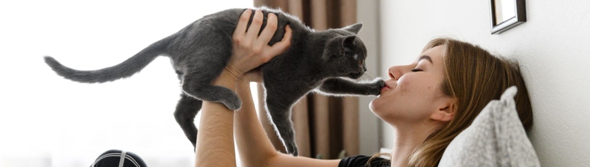 Opas kissanomistajalle - ainakin näitä asioita kissasi tarvitsee